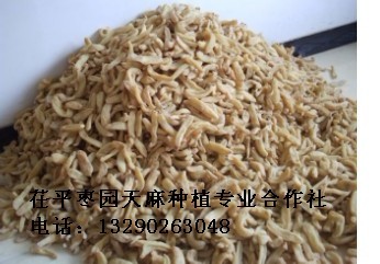 米兰milan官方网站