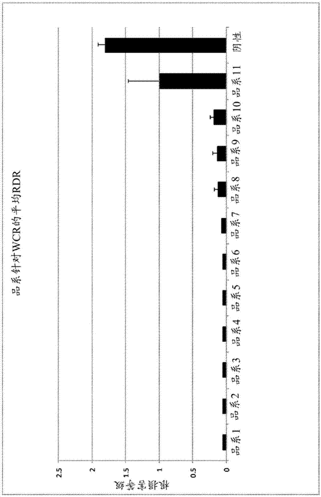 米兰milan官方网站