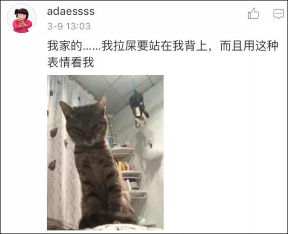 米兰milan官方网站