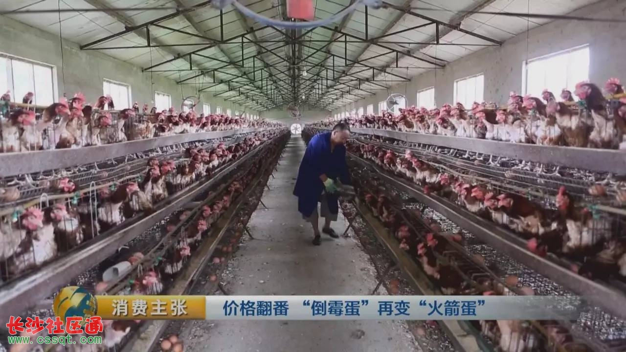 米兰milan官方网站