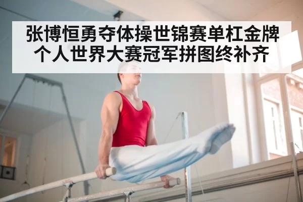 张博恒勇夺体操世锦赛单杠金牌个人世界大赛冠军拼图终补齐