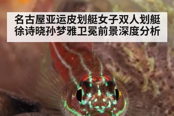 名古屋亚运皮划艇女子双人划艇徐诗晓孙梦雅卫冕前景深度分析