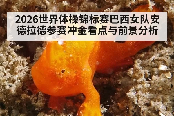 2026世界体操锦标赛巴西女队安德拉德参赛冲金看点与前景分析